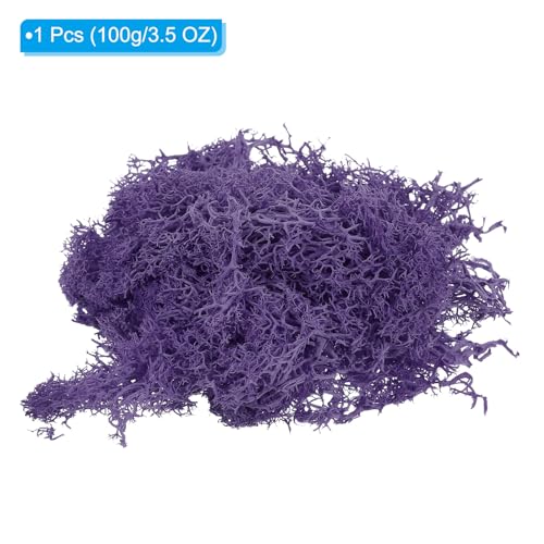 95ml Valse Mos, Geconserveerde Rendier Mos Kunstmos Lichens Centerpieces Decor Faux Mos voor Potted Planten Kerstmis ambachten, Donker Paars