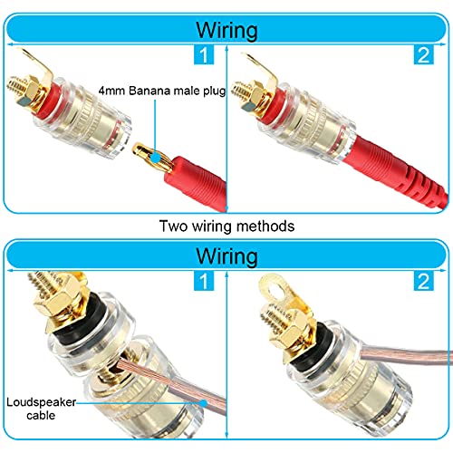 8Pcs 4mm Banana Plug Connection Pole Speaker Terminal Versterker Connector voor luidspreker Pole Clamp, HiFi Boxen, Versterkers, AV Ontvanger, Eindniveaus 5