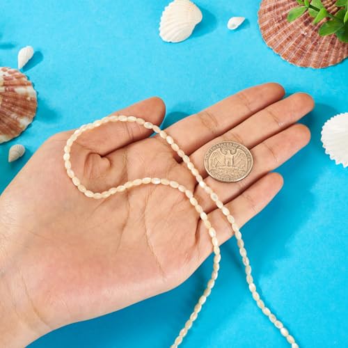 1 Strand Natural Trochus Shell Kralen Oval Seashell Kralen Losse Spacer Kralen Zomer Shell Kralen voor DIY armband ketting oorbellen sieraden maken, Pale Goldenrod 5