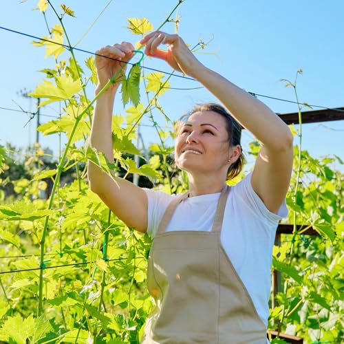 Vines Attachment, 200st Plastic Bonded Buckle Hooks Tuinieren Grapes Ondersteuning Strapping Clips Vaste haak Plant houder voor het beveiligen van druiven bloemen Groenten, Groen 4