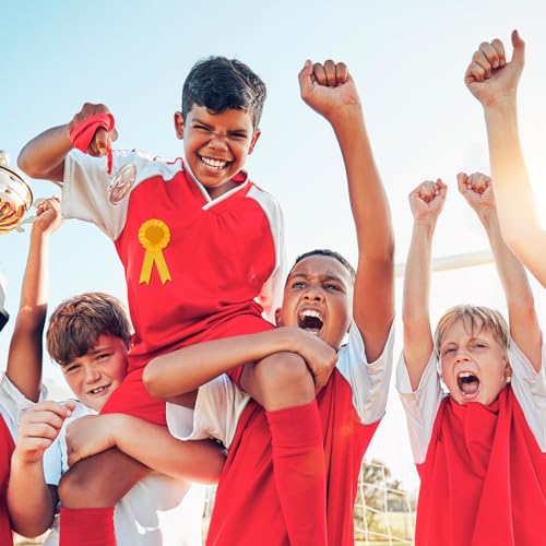 Award linten, winnaar herkenning pint deelnaam medaille pint voor competitie 4