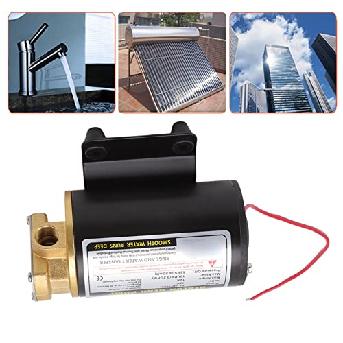 Olie transfer pomp, hoge druk messing elektrische transmissie pomp, thermische bescherming, effectief voor smeermiddelen (12V) 3