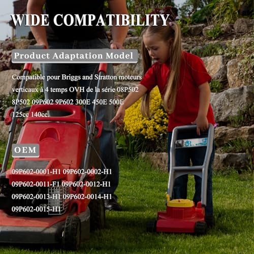 799584 Carburetor Vervanging van Briggs 550EX, 625EX, 675EX, 725EXI, 592361, 594057, 594058, 594529, 799584, 09P702 Lawn Mower Engine met Spark Plug Onderdelen en Accessoires 3