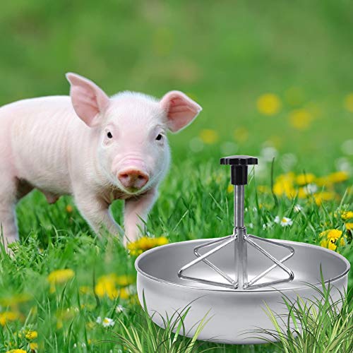 Knorretje Voederbak, Knorretje Voeders, Roestvrij stalen Voeder met Groove Bar Plastic voor Biggen, Honden, Katten 3