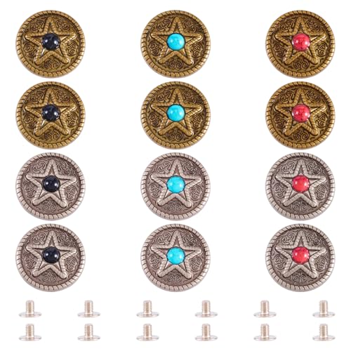 12 Sets Screwback Rivets lederen Rivet Knoppen Tibetaanse stijl Decoratieve Rivets Studs voor Purse handtas Schoenen Lederen Craft Kleding Belt