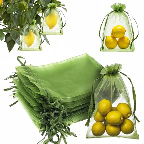Verpakking van 50 Fruitbeschermingszakken, 5,9 × 10 cm, Groene Mesh Hoes met koord, Organza Säckchen Small Garden Net, Pest Barrier voor fruitbomen, groenten, bloemen