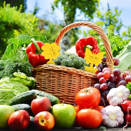 20 st Gele Begrafenis Gnats Control Stickers Vlieg Trap Gele Lijm Trap, Begrafenis Gnats Control voor gele panelen voor binnen planten Pest controle