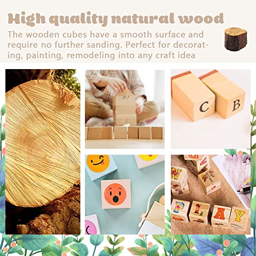 12 stukken kalk houtsnijblokken, 5 x 5 x 5 cm, grote houten blokjes, natuurlijke snijblokken, onvoltooide gladde houten blokjes voor DIY snijden, vormen, schilderen 3