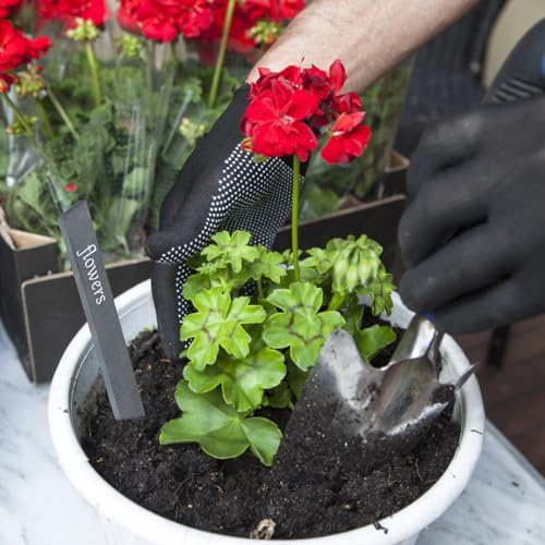 Plantenetiketten, Slate Plant Labels, 15x2cm Herbruikbare Tuinaanwijzers, Outdoor Plant Marker Labels met Krijt voor Kruiden, Potplanten en Bloemen 3