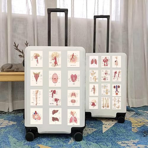 Poster van Organen Sticker Set Stickers Kids Tieners 50 stuks Waterdichte Vinyl Stickers Laptop Skateboard Koffer Helm Auto Fiets mobiele telefoon Motorrijwiel Bike Scrapbook Cadeaudagboek