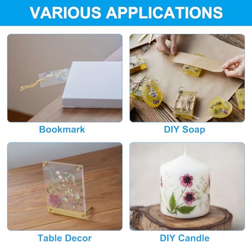 48 Stuks gedroogde geperste bloemen, natuurlijke madeliefjes, bloemen voor doe-het-zelf knutselen, Home Decoratie, Nagel decoratie, oranje 5