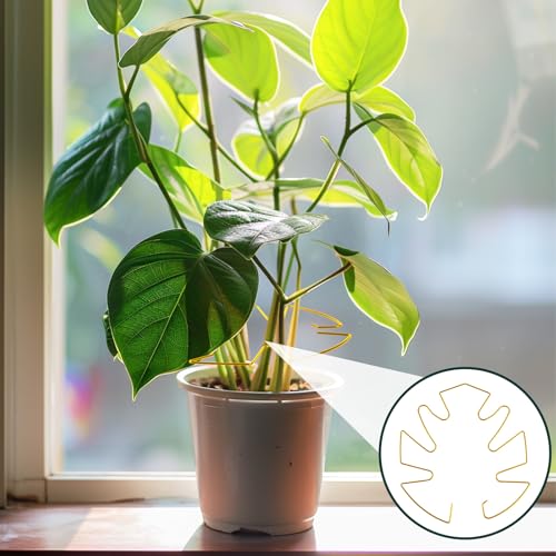 4Pcs Monstera Leaf Plant Ondersteuning, Metaal Monstera Ondersteuning Klimmen Plant Stam Stabilisator Houder voor Binnen en Buiten Tuin Accessoires (Goud) 5