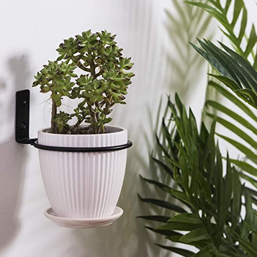 3 st. 6 inch Wall Mount Planter houder bloempot Ring Wall Bracket voor opknoping plant bloem pot 5