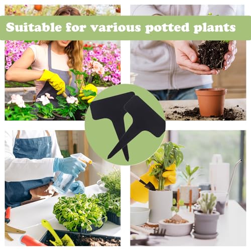 Verpakking van 120 plantenborden voor het schrijven, outdoor plantenborden, weerbestendig, 6 x 10 cm, T-type, weerbestendig, plastic, geschikt voor tuin, fruittuin, groenten, fruit en naametiketten met 5