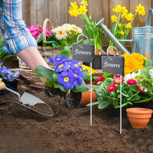 Plantenetiketten, Slate Plant Labels, 15x2cm Herbruikbare Tuinaanwijzers, Outdoor Plant Marker Labels met Krijt voor Kruiden, Potplanten en Bloemen 5