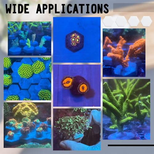 28 stuks keramische koraalfragmenten stekkerbasis, zeshoekige koraalfragmentstaat koraalfragmenthouder voor koraalfragmenten in aquarium, wit, 3,5 x 3,05 cm 5