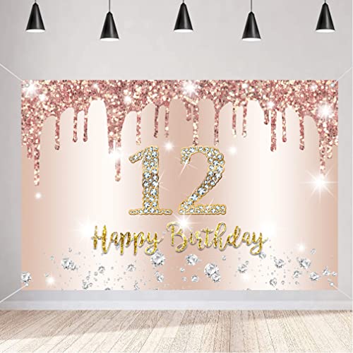 12e verjaardag meisje decoratie, twaalfde verjaardag Banner Rose Gold, gelukkig 12 verjaardag stof sign poster, 12e verjaardag achtergrond Banner meisje verjaardag partij decoratie