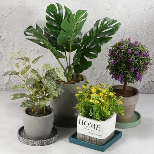 Plant Pot Saucer 15,8 cm, 2 stuks Keramische Ronde Flower Drip Tray voor Binnen Outdoor, Zwart 5