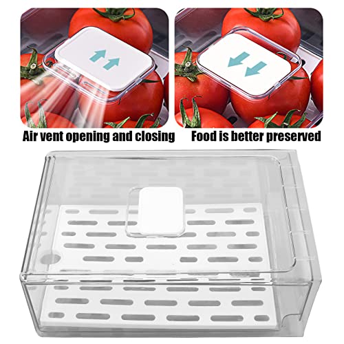 Fruitopslag, Koelkast conserveringsdoos, 1PC koelkast opslagdoos houder met afvoerplaat Fruit opslag Container opslagdoos (grote) 5