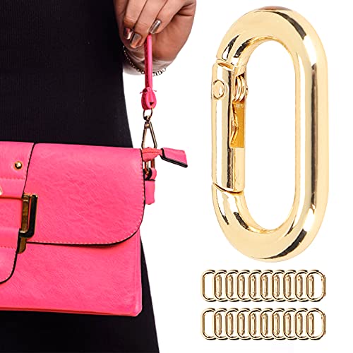 20 stuks Carabiner Hooks Oval Carabiner Hooks Klimgesp 20 x 31mm Clip Sleutel Ketting Gespmetaal Sleutel Ring gesp voor sleutelhanger kleren zakken