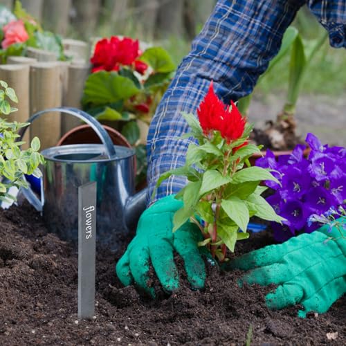 Plantenetiketten, Slate Plant Labels, 15x2cm Herbruikbare Tuinaanwijzers, Outdoor Plant Marker Labels met Krijt voor Kruiden, Potplanten en Bloemen 4