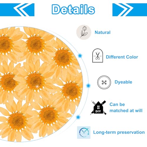 48 Stuks gedroogde geperste bloemen, natuurlijke madeliefjes, bloemen voor doe-het-zelf knutselen, Home Decoratie, Nagel decoratie, oranje 3