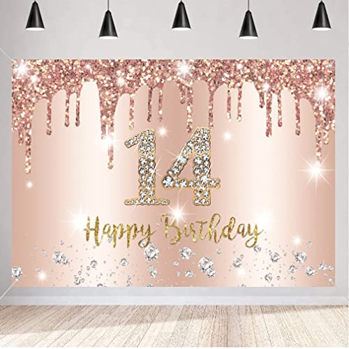 14e verjaardag meisje decoratie Banner Rose Gold stof sign poster, 14e verjaardag achtergrond Banner meisje verjaardag feest decoratie