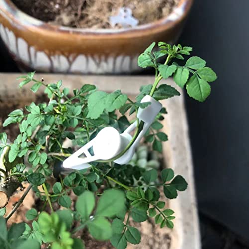 Plant Bender Clips, 30 Stuks 360 graden verstelbare Hoek Plant Groei Clips Plant Stam Trainer Clips Plant branches Bender voor lage stress Trainer Planten 3