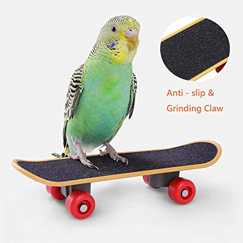 Parrot Bird Toy Set kleurrijke Basketbal Skateboard Verlicht angst puzzel stapelen Sepak Takraw Bird Toy 5