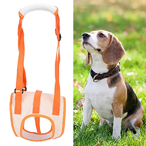 Hond Assist Harnas Zwak achterpoten Mesh Pet Hondenlift Harnas Achterkant voor Gehandicapt letsel Oudere hond Assist Harnas (S)