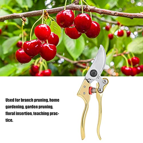 Snoeischaar 210 x 55 mm Gouden Fruitschaar Planten Tang Handschaar Bypass Schaar Schaar met anti-slip tanden Grooves voor tuin en landbouw 4
