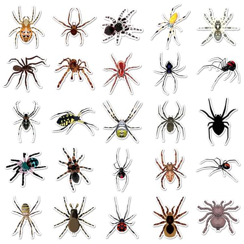 Spin Spider Sticker Set Stickers Kids Tieners 50 stuks Dieren Waterdichte Vinyl Stickers Laptop Skateboard Koffer Helm Auto Fiets mobiele telefoon Motorrijwiel Scrapbook