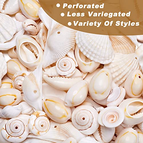 210st/doos Natuurlijke Shell Hangers Kralen 7 Style Ocean Beach Seashell Charms Geborstelde Shell Kralen voor ketting armband Wind Chimes Vis Tank Home Party 3