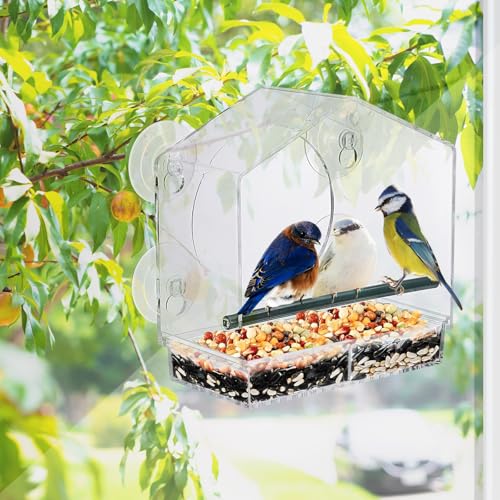 Buiten Vogelvoeder 20 x 10 x 20 cm, Acryl Bird Huizen met 4 Sterke Zuigbekers voor Buiten Vogels, Transparant 5