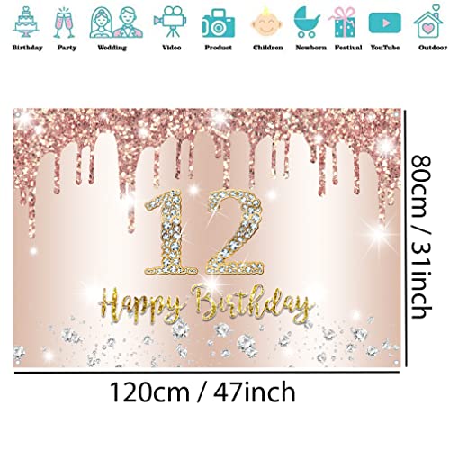 12e verjaardag meisje decoratie, twaalfde verjaardag Banner Rose Gold, gelukkig 12 verjaardag stof sign poster, 12e verjaardag achtergrond Banner meisje verjaardag partij decoratie