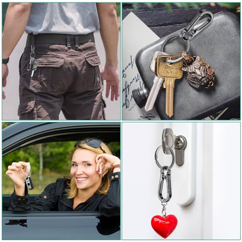 4 st. Karabiner haken kleine karabijnen Clip Mini Sleutelkarabiner Ketting karabijnhaak voor Charm, Autosleutelring, Mannen en Vrouwen Keychain (Zwart, Zilver) 5