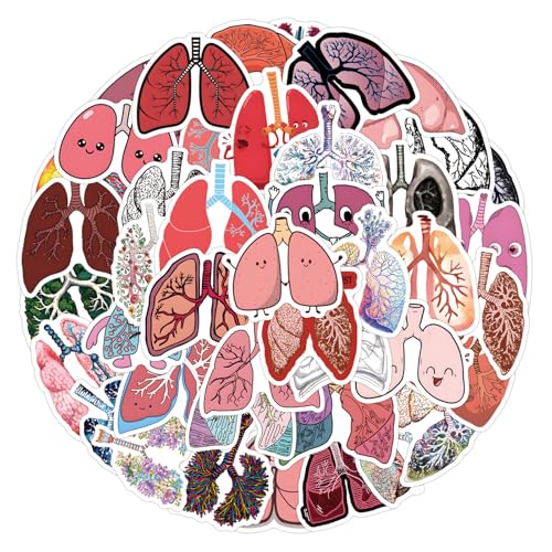 Organische Sticker Set voor tieners en volwassenen, 50 stuks, biologische, waterdichte Vinyl Stickers, Auto, Motorfiets, Fiets, Skateboard, Snowboard, Bagage, Laptop, Koffer, Helm