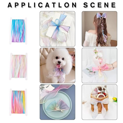 10M Iridecent Organza Ribbons 55mm Wide Pink Chiffon Ribbons Gradient Transparant Polyester Libbons voor Gift Wrapping bruiloft Decoratie, Roze 3