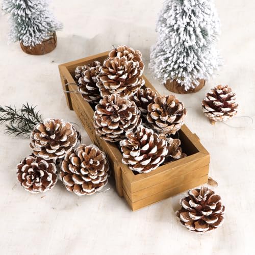 18 Kerstmis Decoratieve dennenappels, Natural White Pine kegels, Ornamenten, Miniaturen, Kerstmis Decoratie voor kerstboom, Tafel, Garland, Gift, Home, Tuin 4