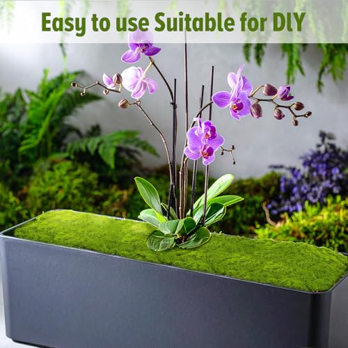 100g kunstmatige mos voor ambachten, nep groene decoratie, bewaarde mos voor DIY projecten, feeëntuinen, bruiloft tafel stukken, Home Decor, partij regelingen 5