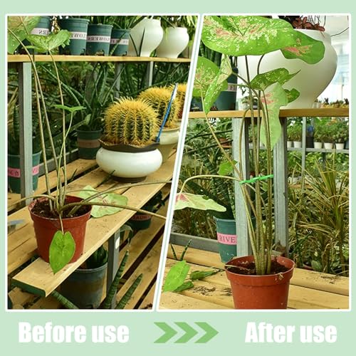 24 st Plant Stam Ondersteuning Verstelbare Planten Ondersteuning Planten Ondersteuning voor Binnen Planten Klimmen Indoor Planten Fixatie Klemmen Herbruikbare Plant Trellis Hook voor klimplanten (3 5