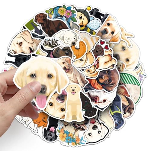 Labrador Stickers voor tieners en volwassenen, Pack van 50, Vinyl Sticker Set, Auto, Motorfiets, Fiets, Skateboard, Snowboard, Bagage, Laptop, Koffer, Helm, Motorfiets, Computer