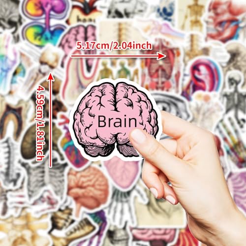 Hersenstickers voor jongeren en volwassenen, 50 stuks, brain vinyl stickerset, auto, motorfiets, fiets, skateboard, snowboard, bagage, laptop, koffer, helm, motorfiets, computer