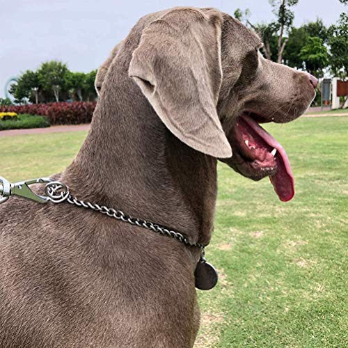 Metalen Hondenhalsband, Hondenhalsband, Hondenhalsband, Roestvrij staal Training Hangs, Sterke Roestvrij stalen metalen schakels, Slip kettinghalsband 4