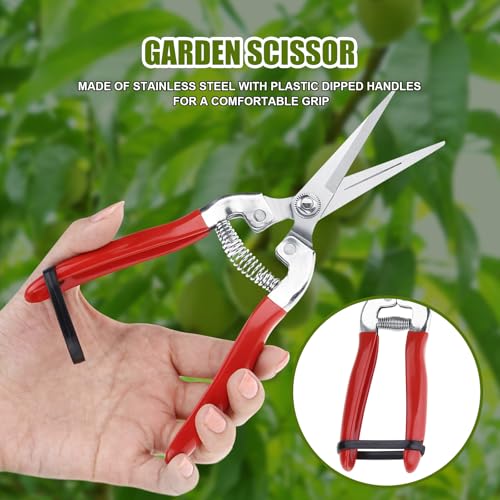 plantenschaar en snoeischaar, Kleine rechte schaar, Oogstschaar, Snoeischaar, Snoeischaar, Snoeischaar, Snoeischaar, Snoeischaar, Snoeischaar, Snoeischaar 3