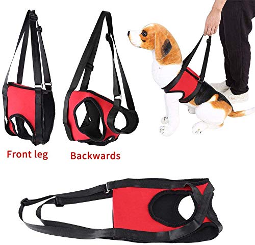 Hond ondersteuning Harnas, Huisdier Running Aid Lifting trekken Vest Sling ondersteuning Revalidatie Outdoor en gezonde Grooming Tool voor Oude & gewonde honden (L, Hind Leg) 5