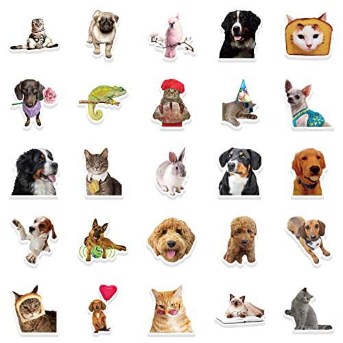 Grappige Animal Sticker Set Stickers Kinderen Tieners 50 stuks Dieren Waterdicht Vinyl Decals Laptop Skateboard Kofferhelm Autofiets mobiele telefoon Motorrijwiel Bike Scrapbook Cadeaudagboek 5