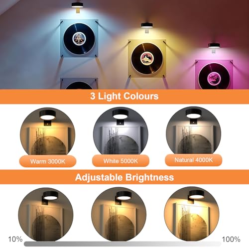 Verpakking van 3 Accu-aangedreven fotolampen met afstandsbediening, 3 lichtkleuren verstelbaar, magnetische fotolamp, draadloze fotolampjes voor foto's, fotoframes, portretten, kunstwerken 3