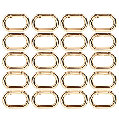 20 stuks Carabiner Hooks Oval Carabiner Hooks Klimgesp 20 x 31mm Clip Sleutel Ketting Gespmetaal Sleutel Ring gesp voor sleutelhanger kleren zakken