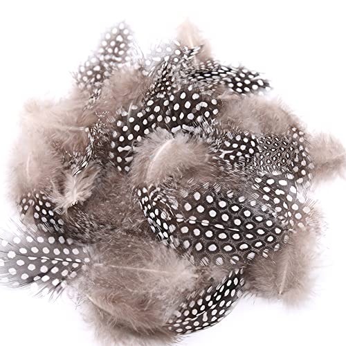 100 st. Natuurlijke Parel Kip Veren voor het knutselen, Natuurlijke Veren, Kip Veren, Hoofd sieraden Veren voor DIY Kunstwerk, Oorbellen, Droom Catcher, Manicure, Valse Eyelash Hoeden, Maskers, Haarsieraden, Natuurlijke Kleur